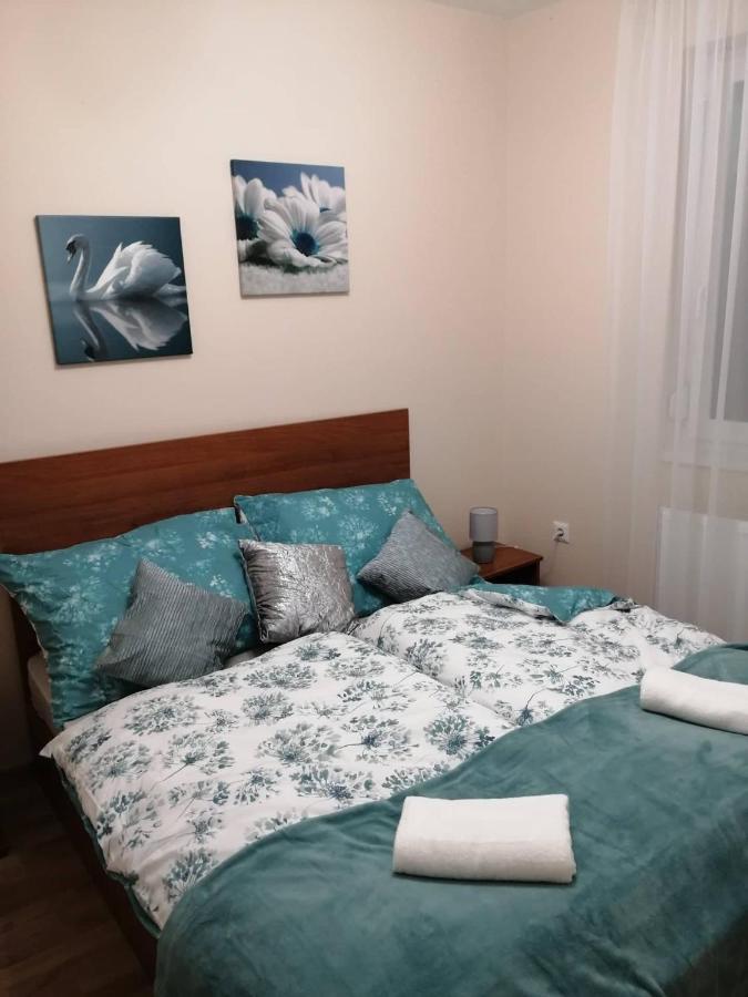 Olga Apartman Szeged Bagian luar foto